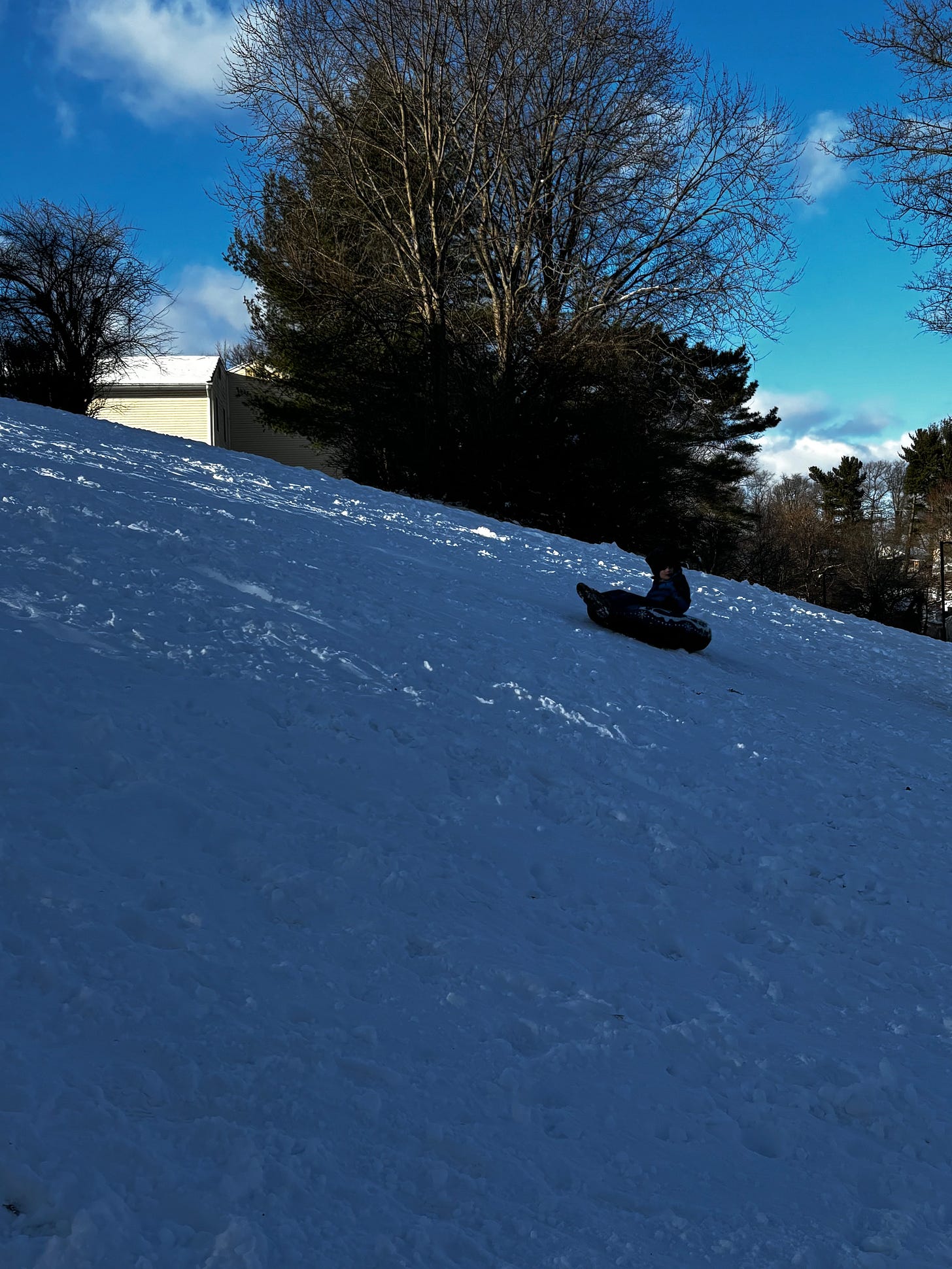 A child on a snow tube riding backwards down a very steep slope covered in snow with a bright blue sky and trees behind him