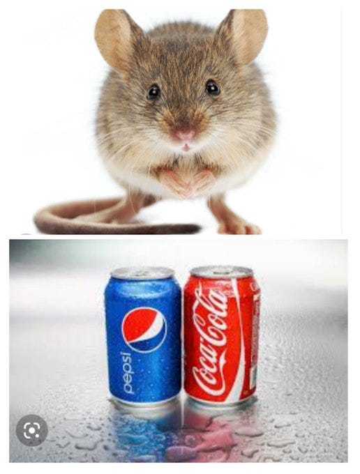 Chinese study: If you were a male mouse, drinking Coke and Pepsi could lead  to larger testicles, more testosterone 😂 | weehingthong