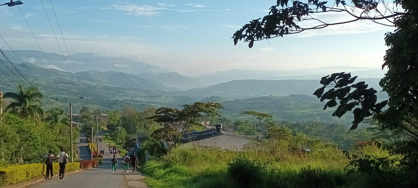 students walk down a narrow, tree-lined street on a sunny day toward rolling hills in the background