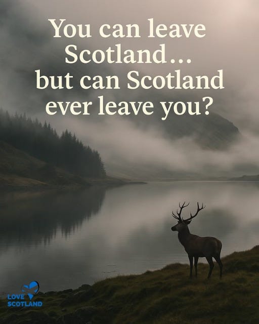 May be an image of ‎text that says "‎You can leave Scotland... but can Scotland ever leave you? ل LOVE SCOTLAND‎"‎
