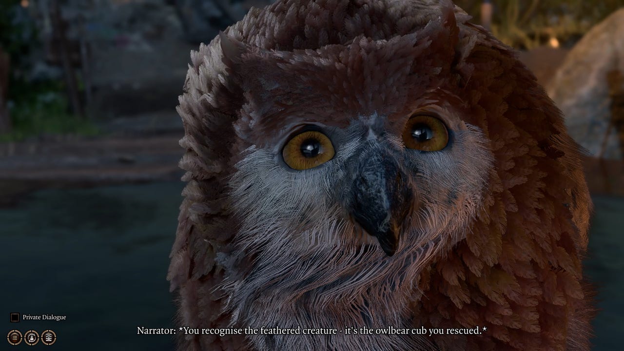 How to Get the Owlbear Cub - Baldur's Gate III Guide - IGN
