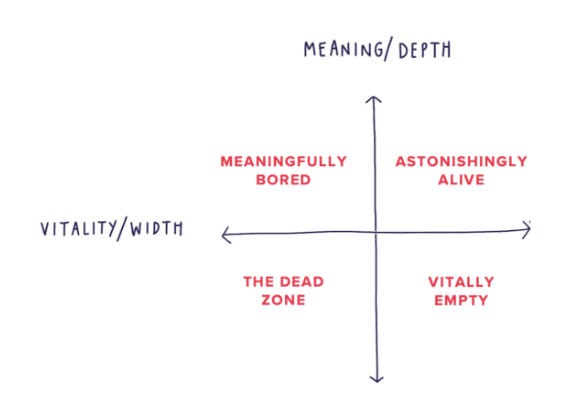 vitality/meaning quadrant