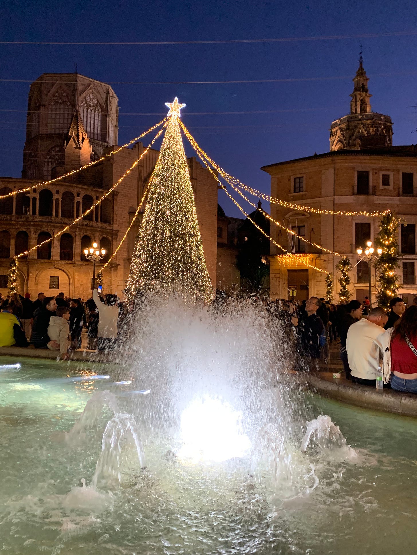 The Plaza de Virgin has a giant Christmas tree of lights