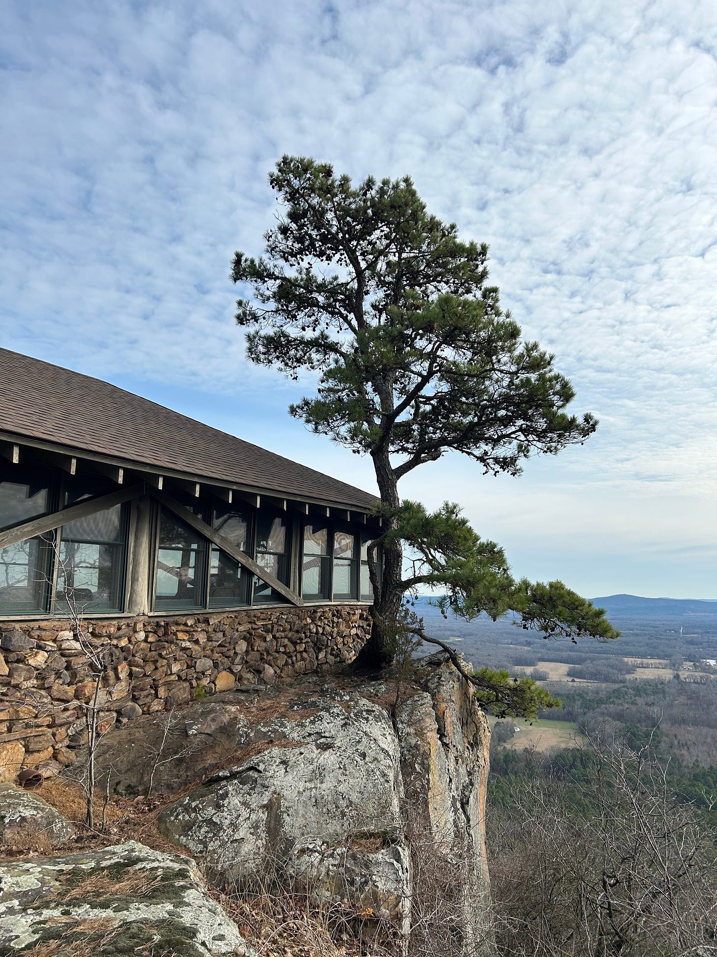 A pine tree grows on the edge of a cliff by a stone camp building. The sky is blue and lightly clouded.
