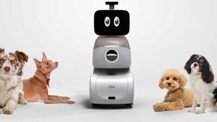 six dogs and a dog robot