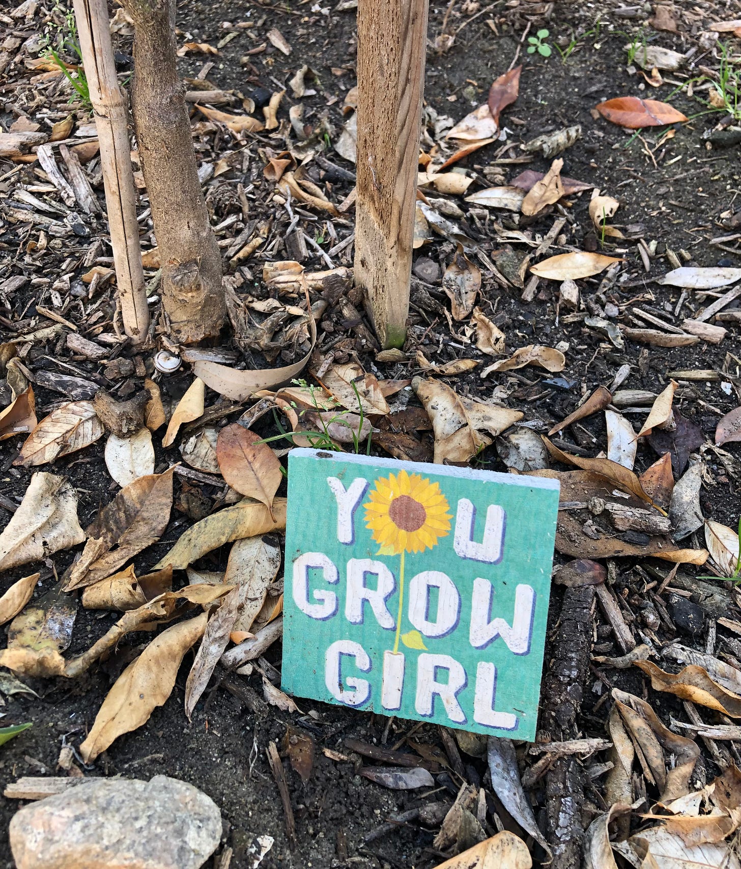 A little sign in the ground that says “You Grow Girl” with dead leaves around it and teh trunk of a very small orange tree behind it.