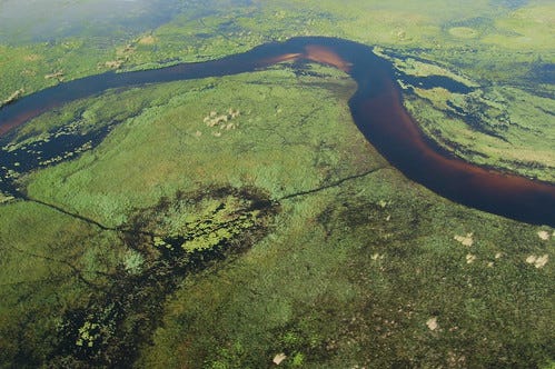 okavango delta, Botswanna