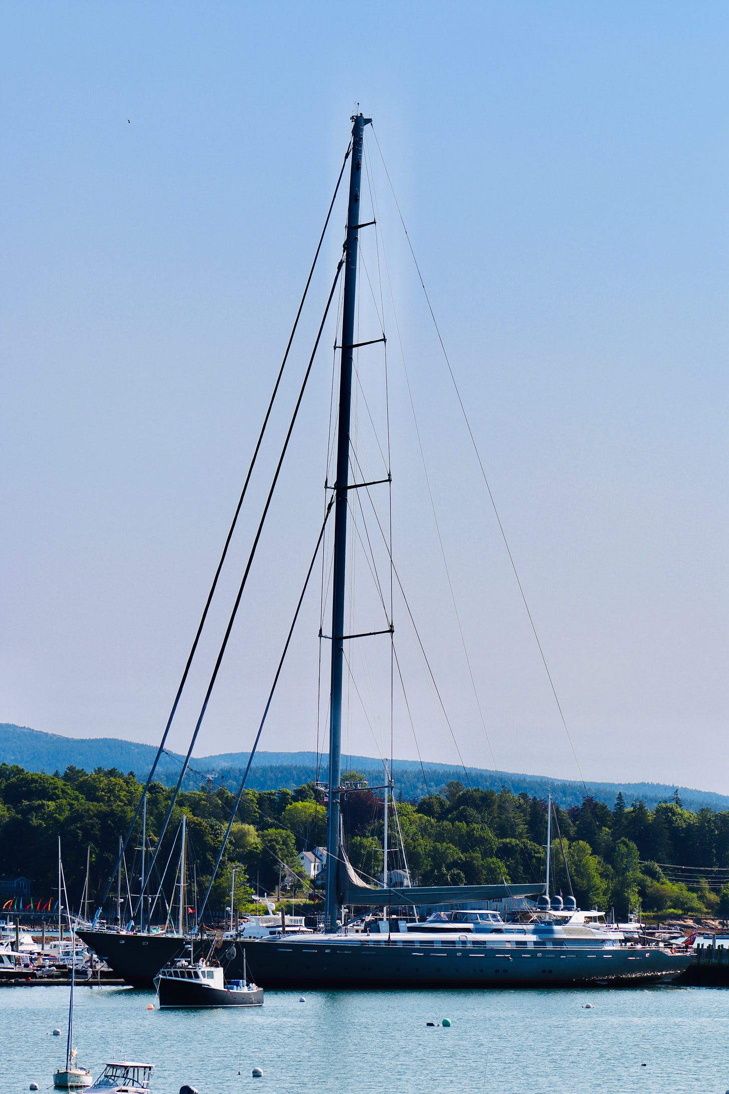 largest single mast sailboat in the world seattle