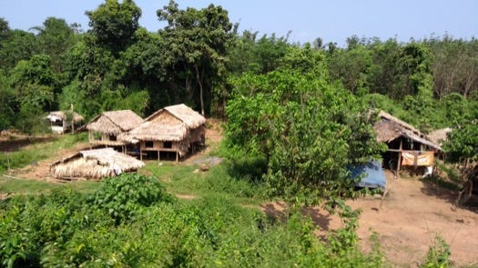 Wooden houses