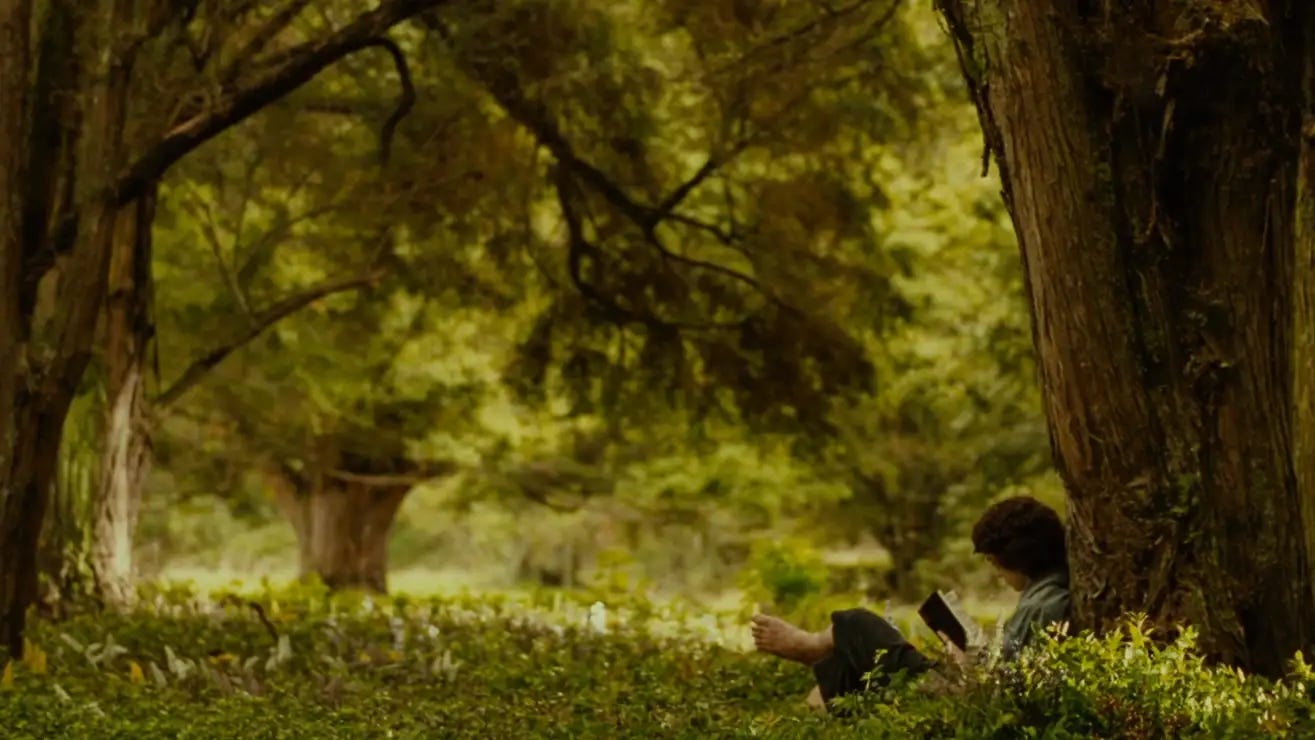 Photo d'un plan du film La Communauté de l'Anneau, du Seigneur des Anneaux, où on voit Frodon lire sous un arbre, entouré de verdure.