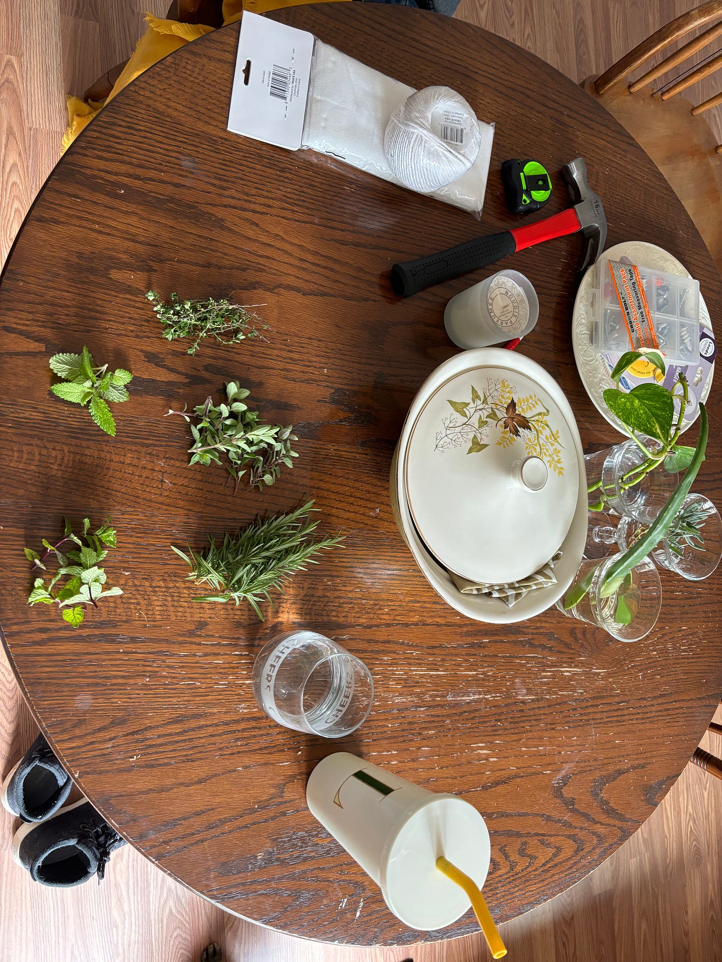 A circular wooden table has cut herbs, twine, plants propagating, a hammer and measuring tape, and several water glasses