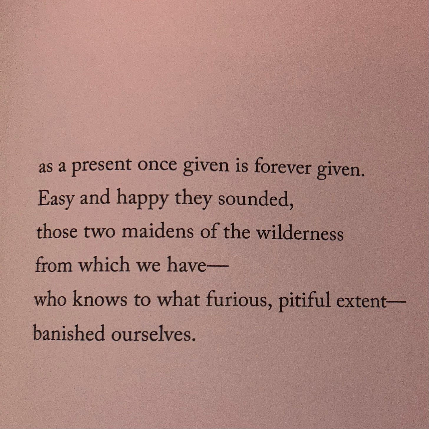 a stanza of poetry in a book which reads: "as a present once given is forever given. Easy and happy they sounded, those two maidens of the wilderness from which we have— who knows to what furious, pitiful extent— banished ourselves."
