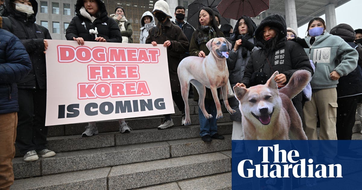 How South Korea fell in love with dogs and banned their slaughter for meat