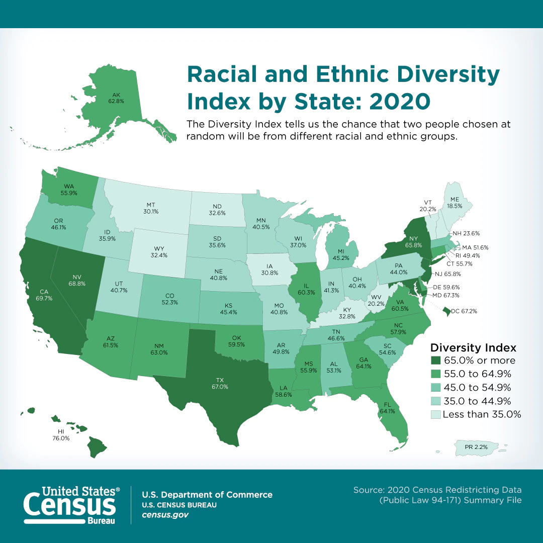 Diversity map of the United States from the 2020 Census, courtesy of the U.S. Census Bureau. 