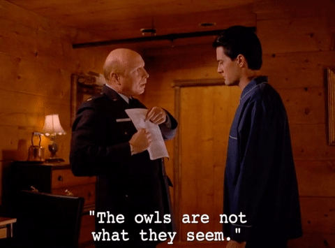 Twin Peaks: The owls are not what they seem.