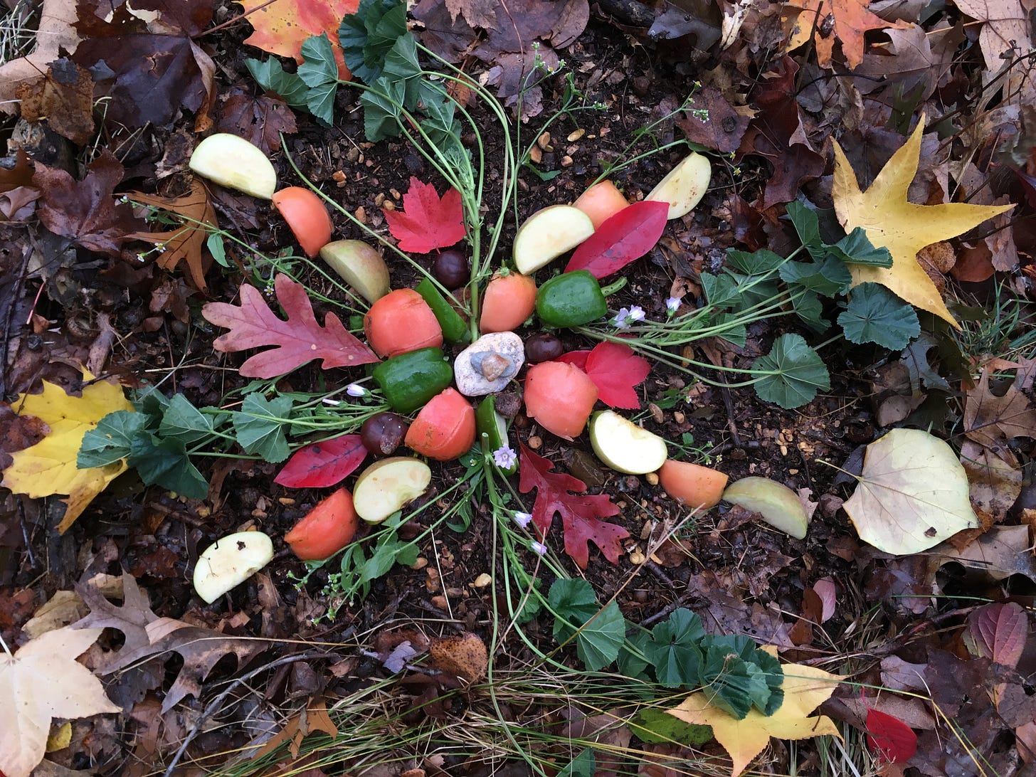 A photo of fall leaves, fruits, vegetables, stones, and nuts arranged in a circular and quartered pattern. 