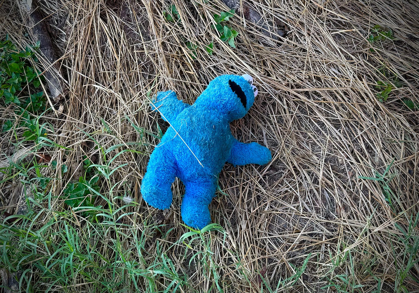 Cookie Monster in the grass