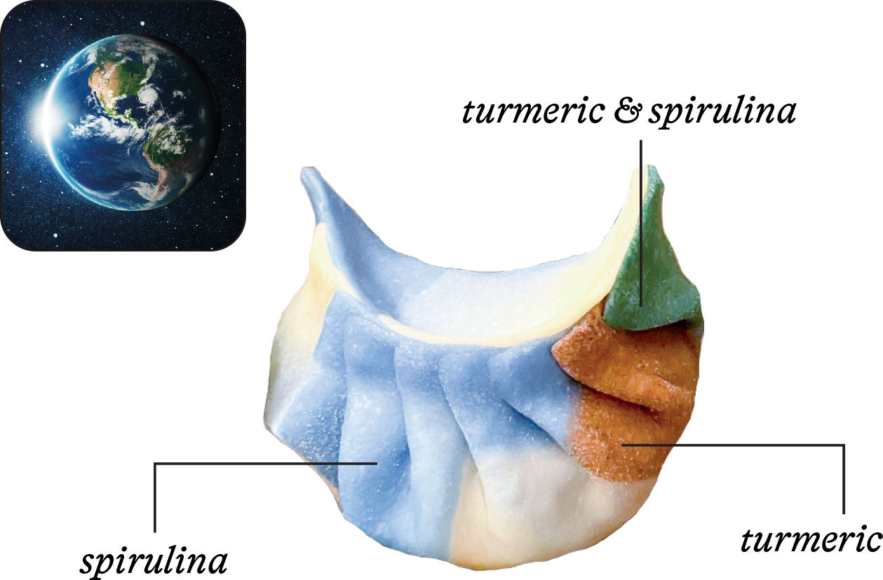 Photo of Planet Earth and a dumpling in the same color palette