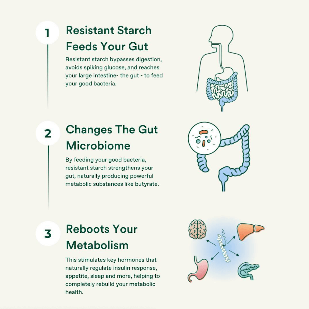 Resistant Starch vs Non-Resistant Starch: What is the Difference? |  Supergut Blog