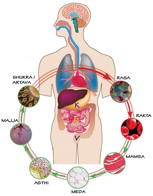 The 7 Dhatus according to Ayurveda - Sri Sri Ayurveda Hospital