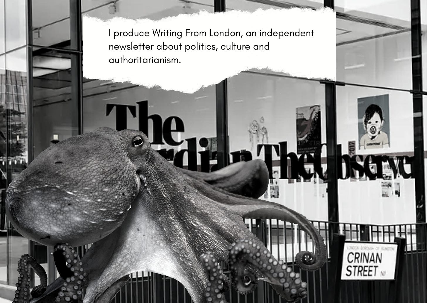 An octopus outside its workplace, The Observer