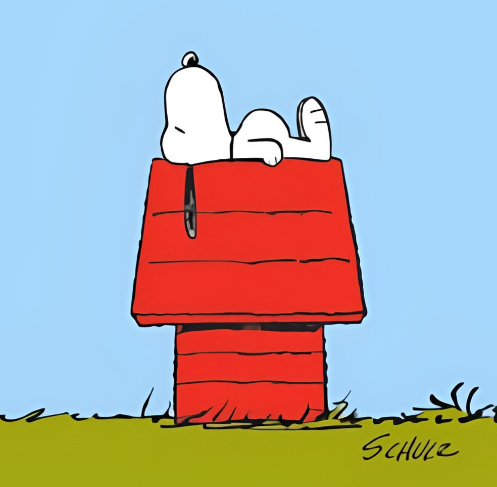 Snoopy's doghouse | Peanuts Wiki | Fandom