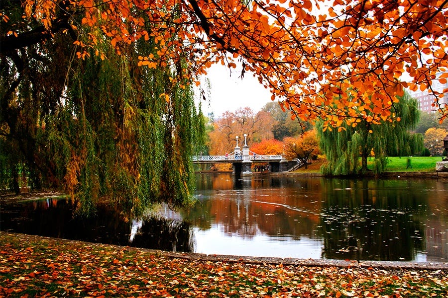 How to Have the Perfect Fall Foliage Day in Boston