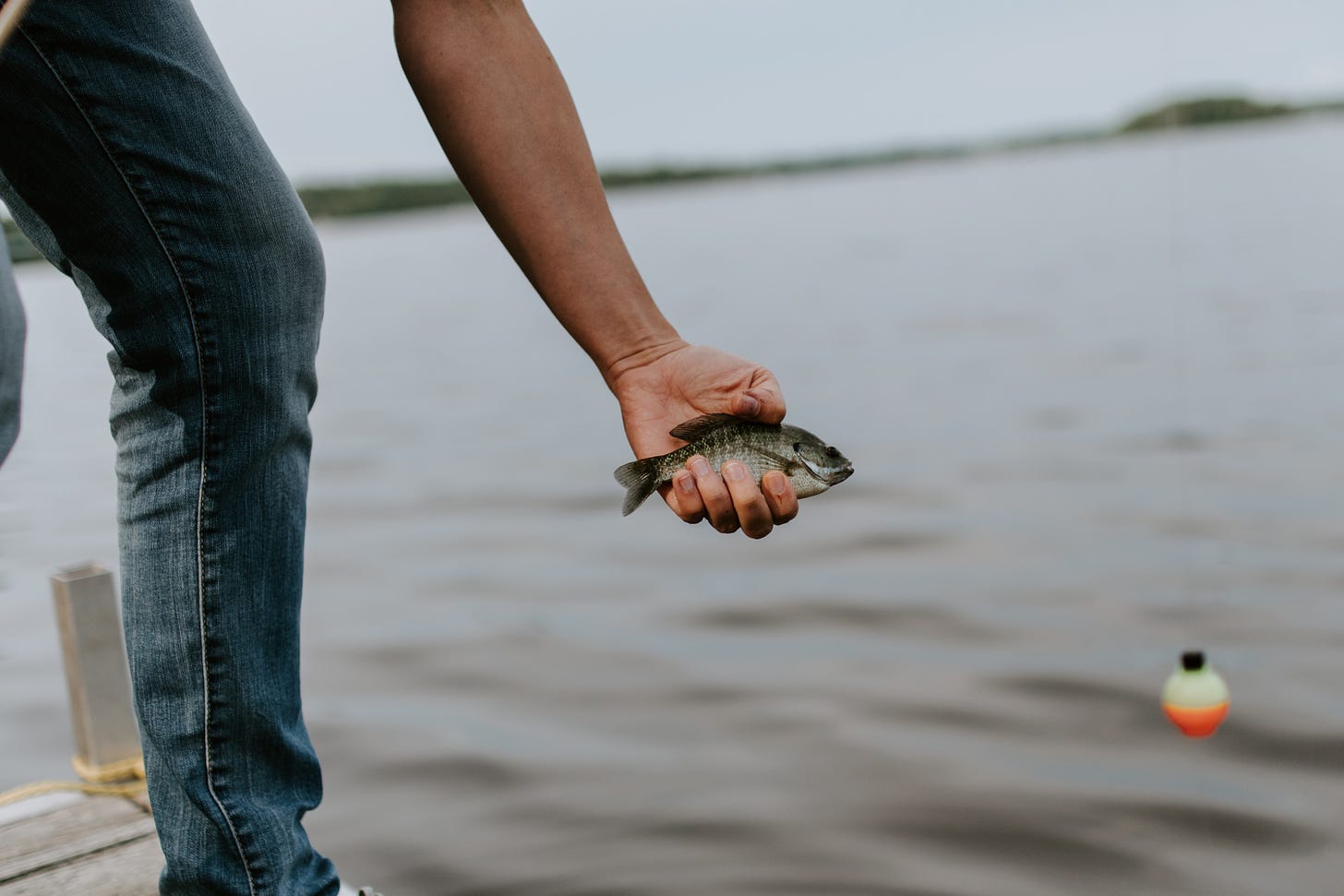 Catching small fish in a lake with a bobber.