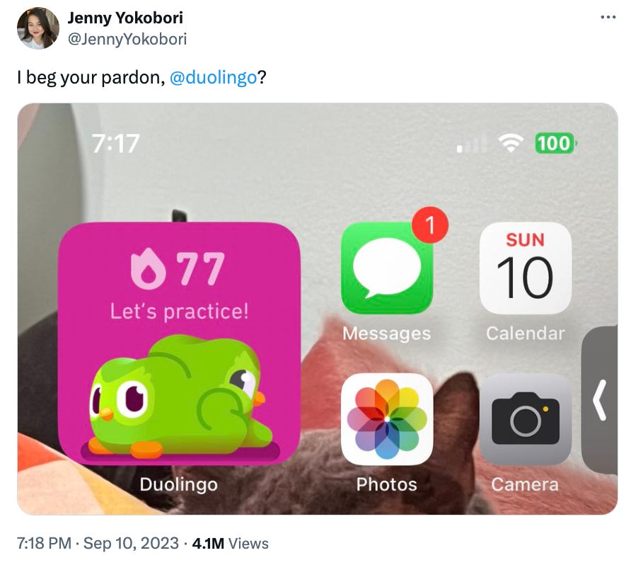 Image of the duolingo widget that is duolingo's face coming out of his butt. (Duolingo is an owl character.)