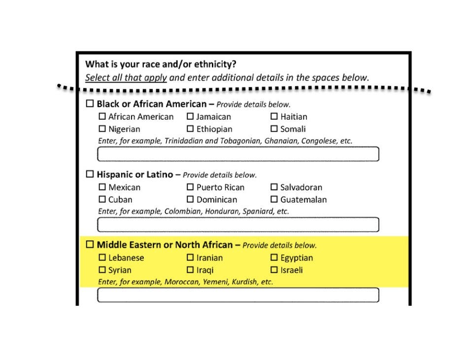 Recently Updated Federal Race & Ethnicity categories now have MENA separate from White