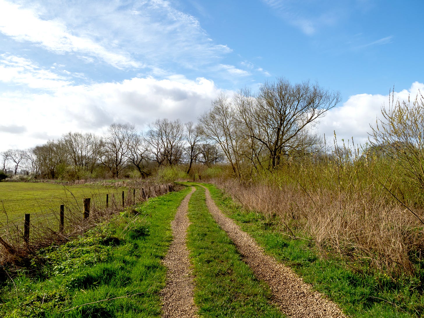 A grass and gravel trail leading towards bare winter trees. On one side there is a green field behind a fence, and on the other side there is mixed vegetation.  There is a blue sky with white clouds above.
