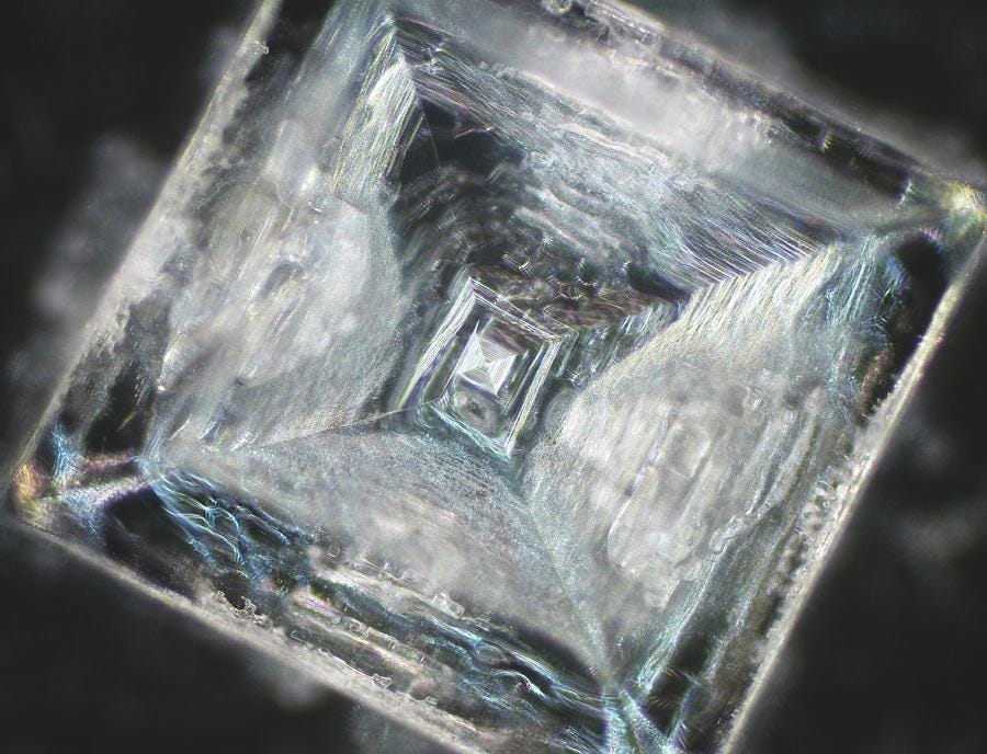 Salt Crystal Photograph by Alfred Pasieka/science Photo Library