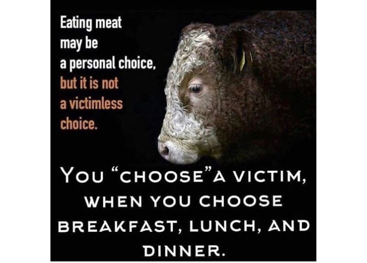 Choosing plant-based meals means choosing compassion, health, and sustainability. Every meal is an opportunity to save lives, protect the planet, and nourish yourself. Make every bite count—because kindness tastes better! 🌱