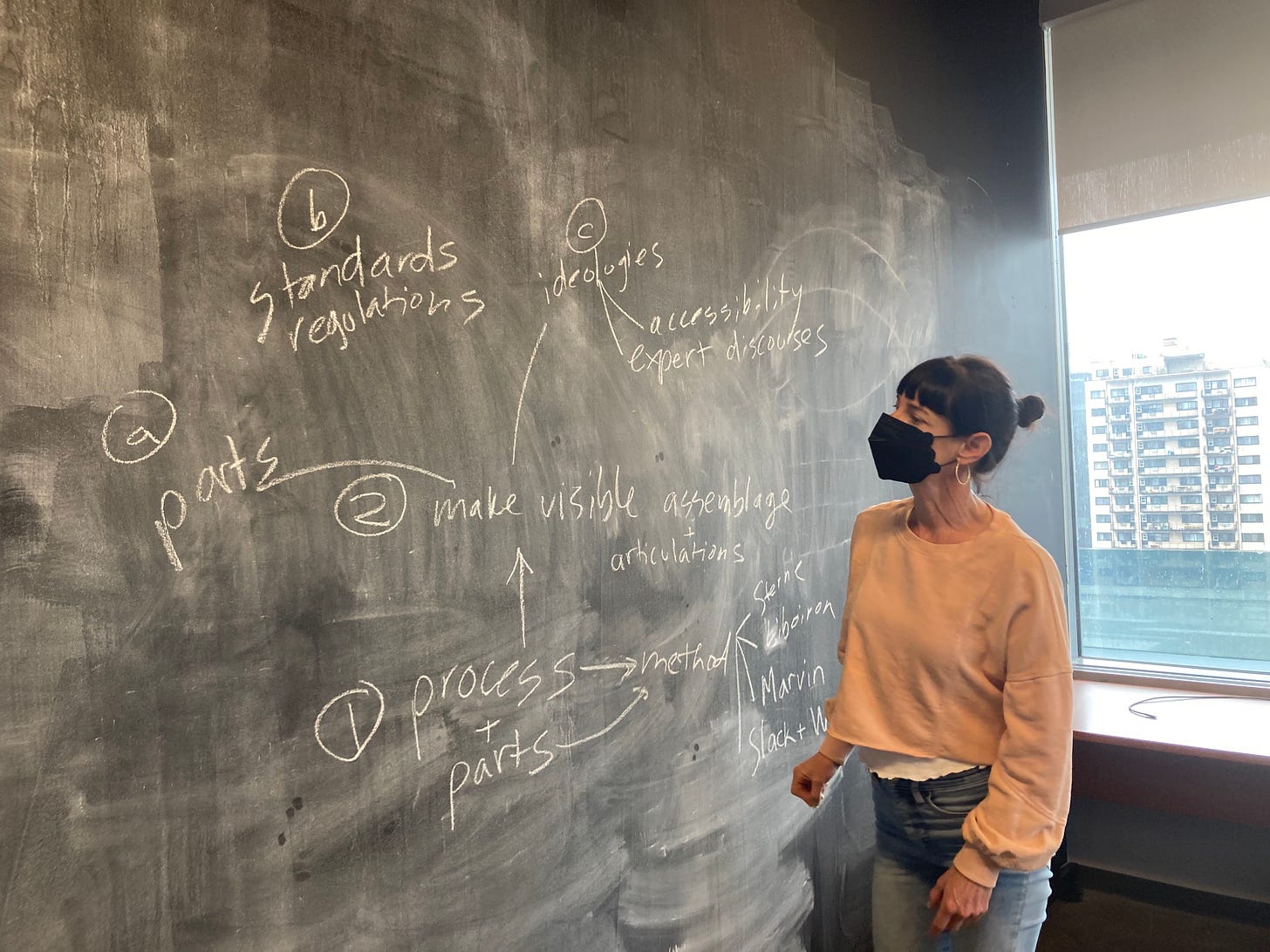 woman in a pink sweatshirt and blue jeans and black face mask looking at a blackboard covered in a diagram