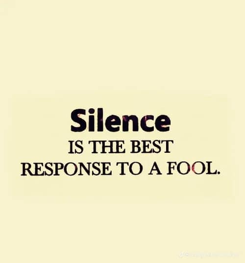 May be an image of text that says 'Silence IS THE BEST RESPONSE ΤΟ A FOOL.'