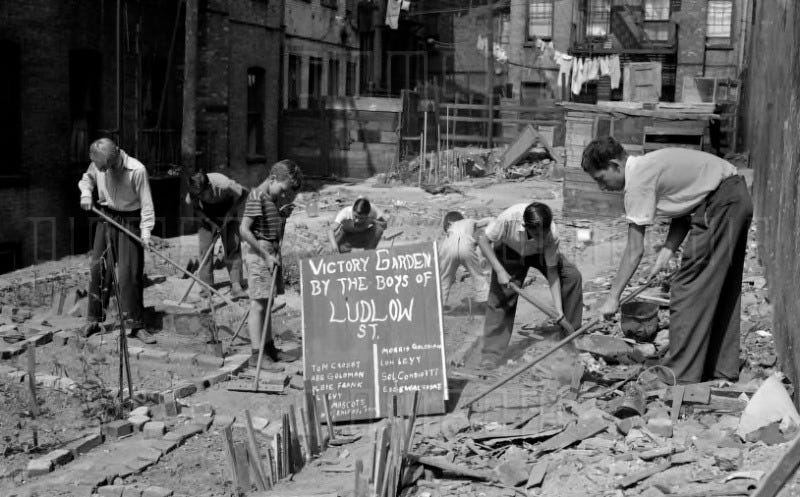 Victory gardens” bloom across the 1940s city | Ephemeral New York