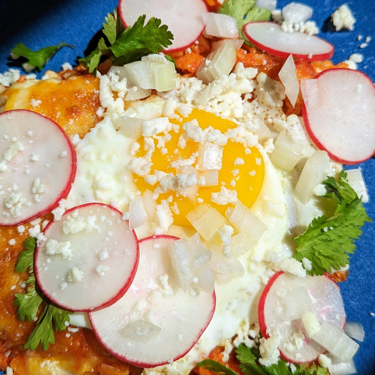 chilaquiles with a fried egg