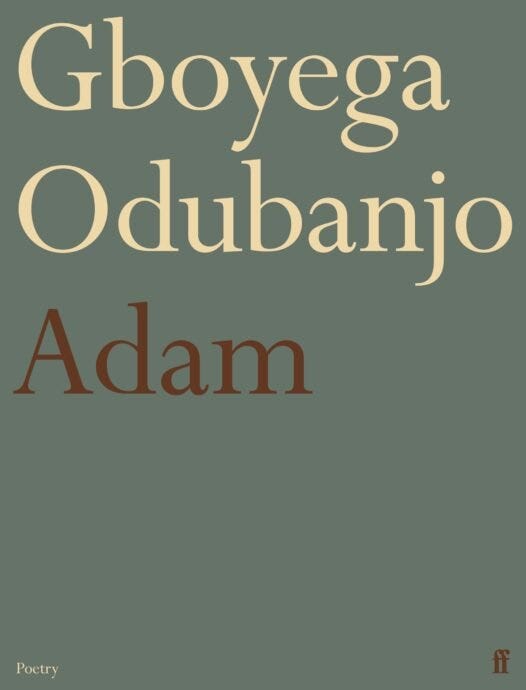 Gboyega Odubanjo, Adam cover