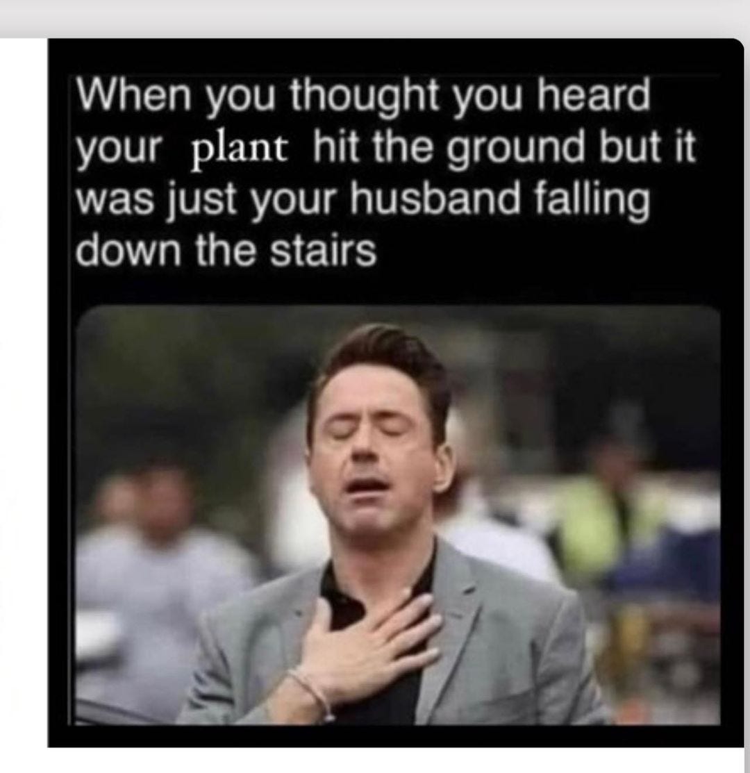 May be a meme of 2 people and text that says 'When you thought you heard your plant hit the ground but it was just your husband falling down the stairs'