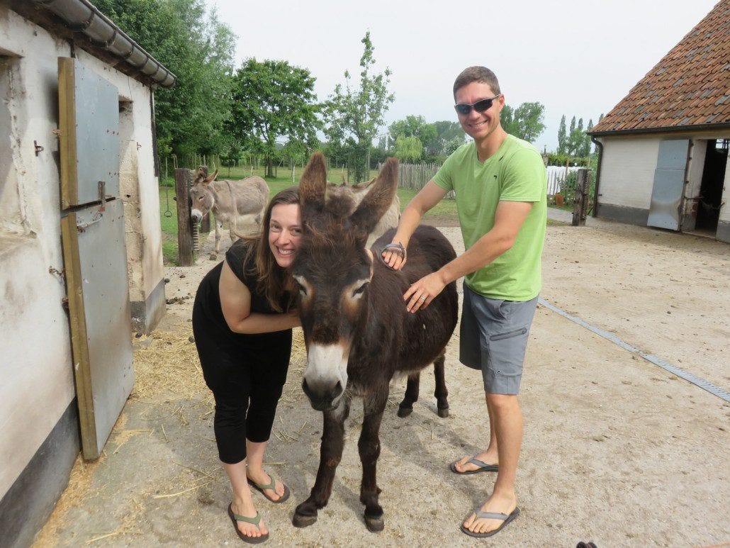 Helping out on the farm! Thanks for the amazing hospitality, Trudi and Jim.