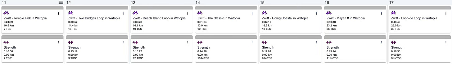 Screenshot of the training log of the author showing strength training and cycling in a row