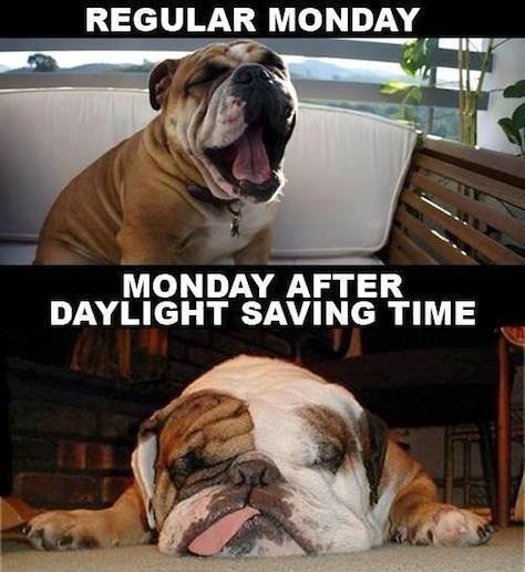 15 Daylight Saving Time Memes That Capture How Most Of Us ...
