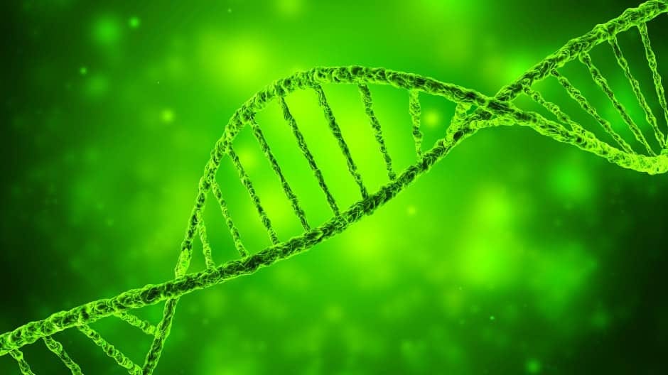Speichern wir unsere Daten bald auf DNA?