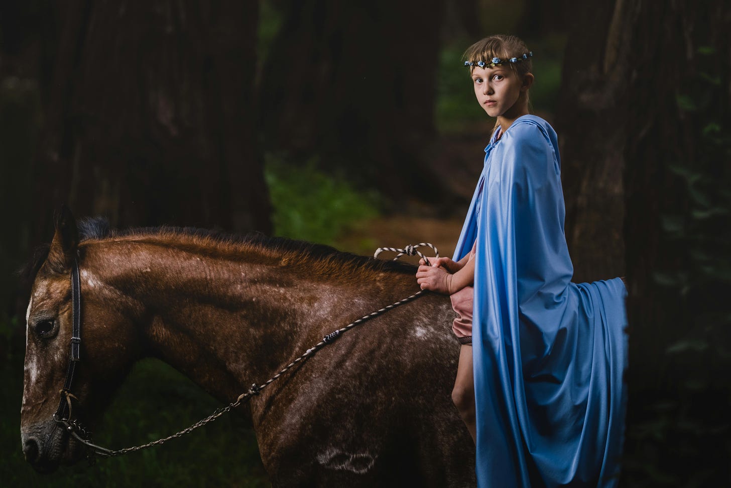 Photo of a boy on a horse