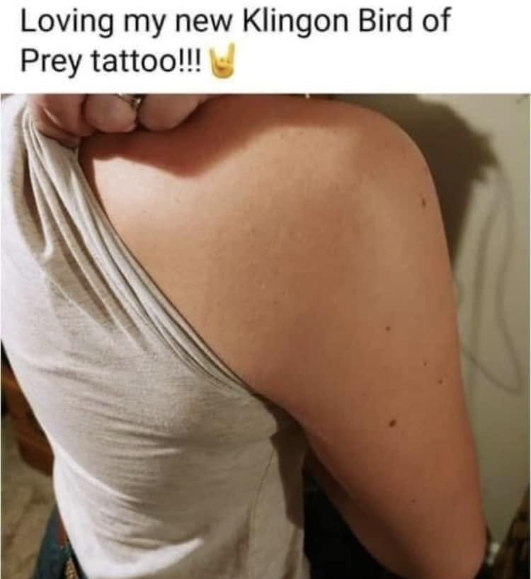 Star Trek Meme: "Loving my new Klingon Bird of Prey tattoo!!!", showing a blank shoulder.