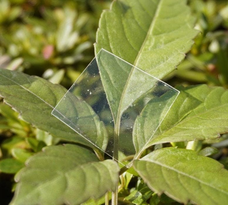 New Recyclable and Ocean-Degradable Plastic
