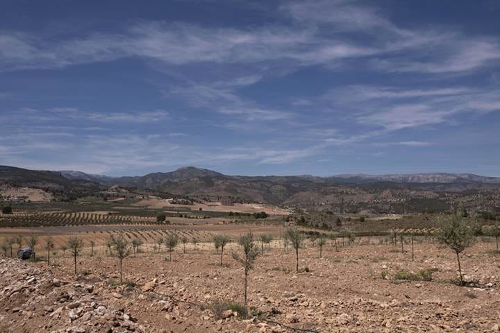 relates to Europe’s Drought-Riven Future Is Here, Decades Earlier Than Expected