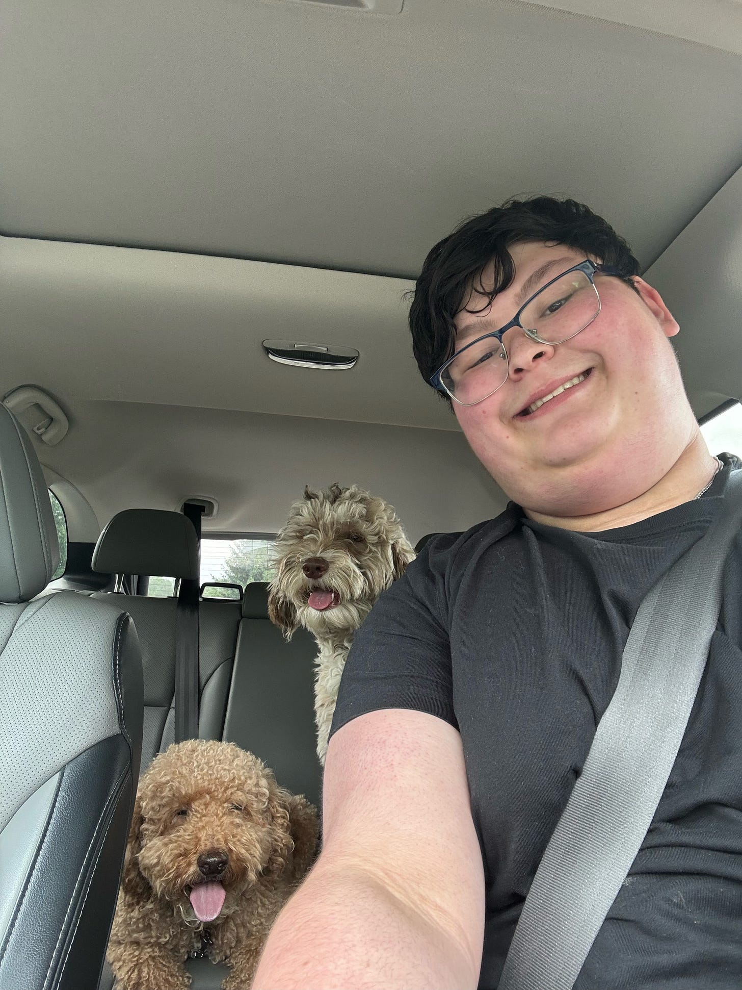 Rafi is a teenage boy weraing glasses, he has short brown hair and wears a greay tshirt. he sits behind the driver's wheel in a c ar. Two small dogs sit in the car with him