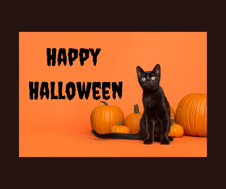 Black Cat and pumpkins saying Happy Halloween