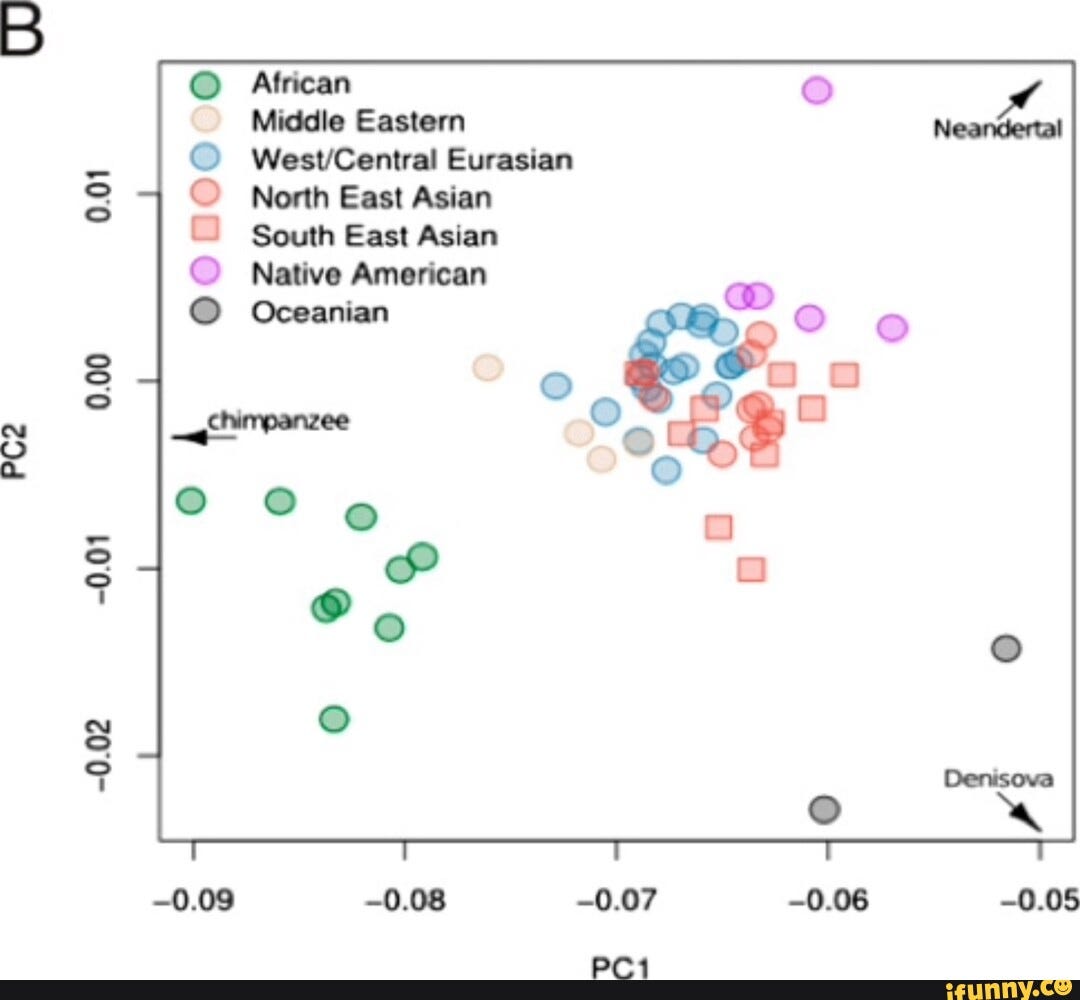 0.01 0.00 GS -0.01 -0.02 -0.08 African Middle Eastern Eurasian North East Asian South East Asian Native American Oceanian - iFunny Brazil